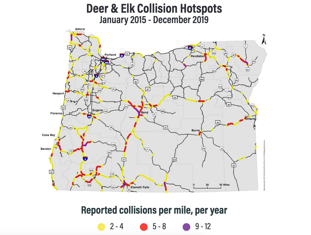 Collision Hotspots